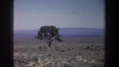 Oregon (1957): Highway Road Clear Field A Singular Tree Off In The Distance