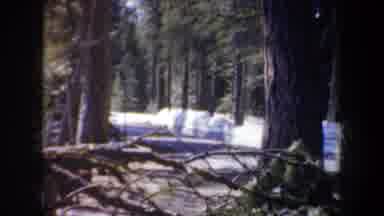 Oregon (1957): View If Green Trees And Yellow And Brown Annie Creek Canyon Sign On