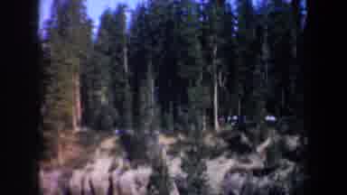 Oregon (1957): View Of Green Trees And Tan Rocks On A Sunny Day