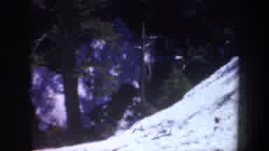Oregon (1957): View Of Green Trees And Light Grey Rocks On A Sunny Day