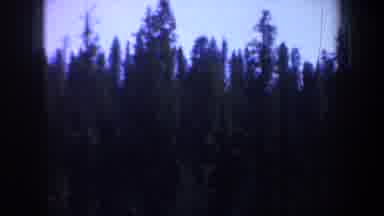 OREGON-1957: A Lone Woman Walking Along a Roadside in the Forest