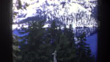 Oregon (1957): Archaic Clip Of A Plant Habitat Growing In The Snowy Regions