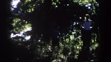 Wisconsin (1958): Family Enjoying The Sunny Day In A Beautiful Wooded Place