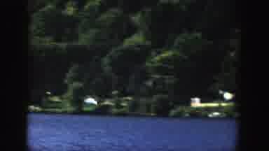 Wisconsin (1958): Tall Healthy Big Trees Surrounding The Lake