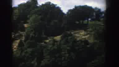 Wisconsin (1958): Green Trees And More Trees Everywhere