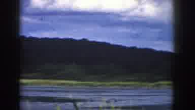 Wisconsin (1958): Camera Pans From Left To Right Across Body Of Water Cattails