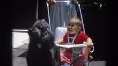 North Hollywood California (1964): A Baby In The Cradle Smiles At A Dog In Front
