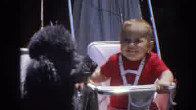 North Hollywood California (1964): A Boy Plays With The Fur Of A Black Dog And
