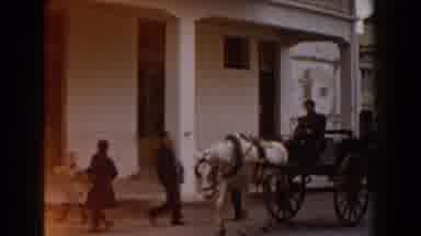 Pisa Italy (1959): Man Wearing Black Jacket Drives Black Buggy Pulled By White