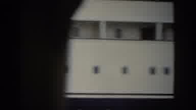 Pisa Italy (1959): Person Wearing Grey Jacket Leaves Black And White Ship On A