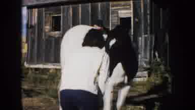 South Dakota (1953): Woman Plays With Black And White Horse On Farm Yard