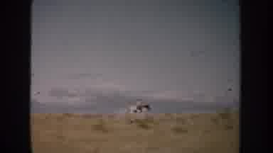 South Dakota (1953): Horse Riding In The Desert With A Horizon Full Of Beautiful