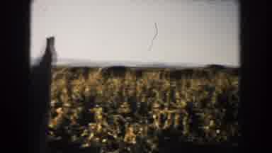 South Dakota (1953): A Group Of Cows Raising In A Field At A Farm