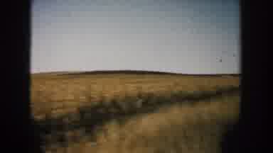 South Dakota (1953): In The Field The Rider Is Riding Next To A Cow