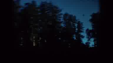 South Dakota (1953): Antique Footage Of Dark Forest And Beautiful Hill Landmark