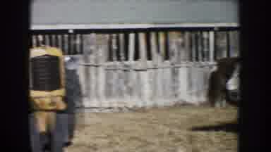 South Dakota (1953): A Farmer Standing On A Tractor Tends To His Herd Of Cattle