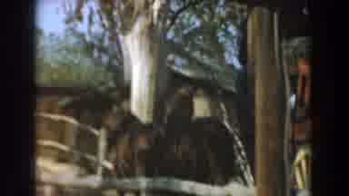 Knotts Berry Farm California (1961): A Group Of People Sitting In A Carthorse Are