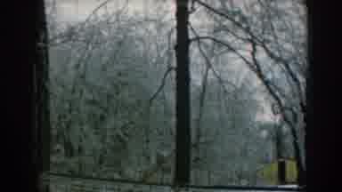 Greece (1962): An Empty Park Filled With Trees Covered in Snow