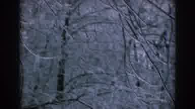 Greece (1962): Inside A Deserted Forest Populated By Scattered Leave less Trees