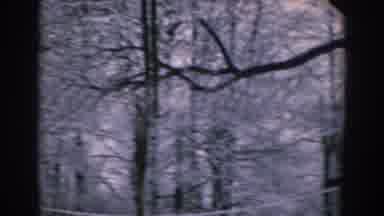 Greece (1962): Camera Pans From Left To Right Showing Snow On Trees Ground And