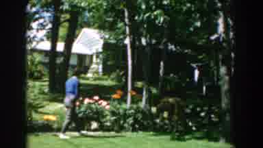 Greece (1962): Woman Wearing Blue Shirt Picks Up Object From Green Bush On A Sunny