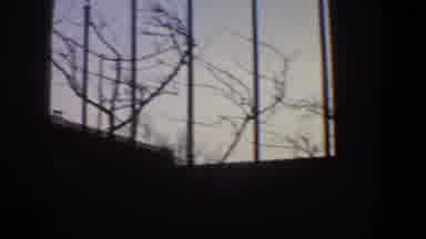 New York City (1960): Classic Archival Footage Of Row Of Flag Poles Perhaps From