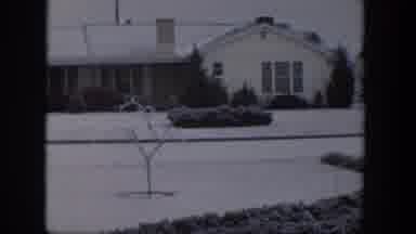 Nevada (1954): View Of Snow Dusted Shrubs On A Clear Winter Day