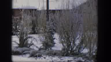 Nevada (1954): Footage Of A Yellow House Covered Of Snow And A Small Tree During