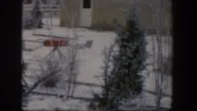 Nevada (1954): A Backyard Covered With Snow A Pine And A First Plan Playground And