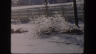 Nevada (1954): Useless Bushes Grow In An Icy Environment With Frost