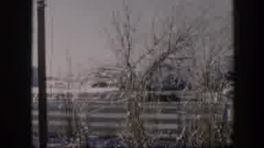 Nevada (1954): Bushes And More Useless Bushes