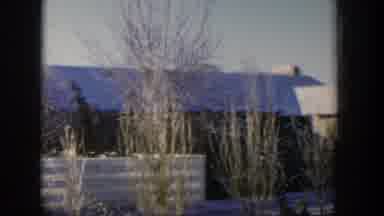Nevada (1954): A Family Camping At The Outskirts On A Sunny Afternoon