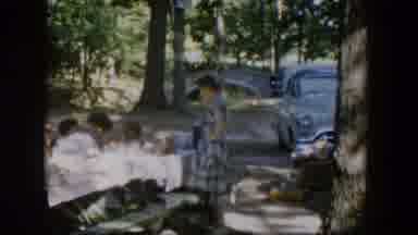 Nevada (1954): Woman In Classic Blue And White Checkered Dress At Family Picnic In