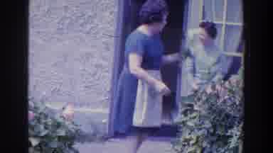 Ireland (1961): Lady Wearing Apron Holding Flower And Picking Flowers In The