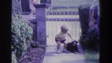 Ireland (1961): A Boy Touches A Dog As His Father Watches Him