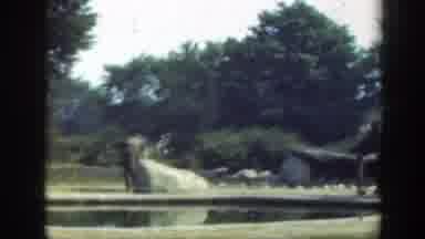 Washington DC (1948): Elephants In The Zoo Being Filmed On A Fisheye Camera Lens