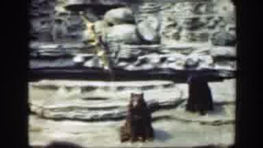 Washington DC (1948): A Group Of Animals Viewed In The Zoo Having Some Form Of