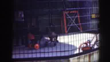 Washington DC (1948): Monkeys In Zoo Cage Riding Tricycle Around Adult Zookeeper