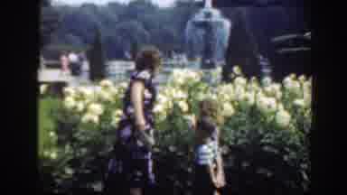 Washington DC (1948): Woman Wearing Dark Blue Dress Looks At Blooming White