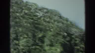 PUERTO RICO-1966: Beautiful Mountainous Terrain Displaying Vibrant Green Foliage