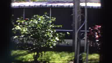 Puerto Rico (1966): They Feel Happy Looking At Their Windows