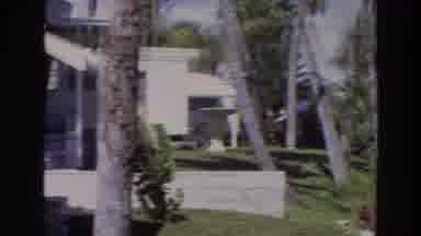 Puerto Rico (1966): Woman Stands In A Garden With Palm In A Sunny Day