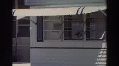 Puerto Rico (1966): Plumage Animals In Ground Zoo