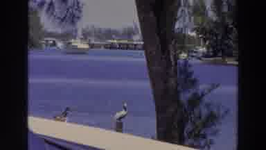 Puerto Rico (1966): A Summer By The Sea In A Tourist Village With Pelicans
