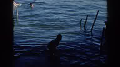Brighton Michigan (1960): View Of Person Stepping Into Blue Lake Water On A Clear