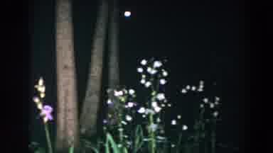 Brighton Michigan (1960): Video Shoot With Surprise At The End - Nightmare In The
