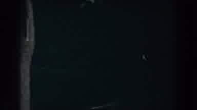 Brighton Michigan (1960): Night Video Of The Garden The Leaves Of The Trees Fly