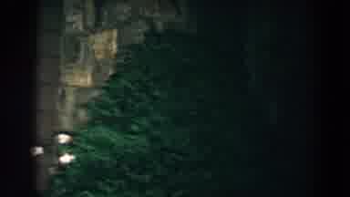 Brighton Michigan (1960): Scary Found Footage Of The Outside And Shrubbery Of A