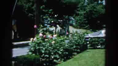 Brighton Michigan (1960): A Clip Showing The Beautiful Scenery Of A Flowery