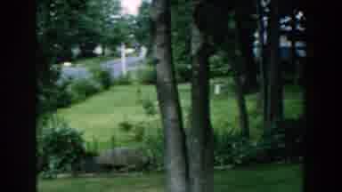 Brighton Michigan (1960): Lush Trees And Garden So Delight To See